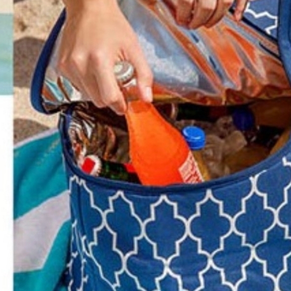 🎅 🎄 FINAL PRICE!  CARRY INSULATED COOLER BAG 🎄 🎅 - Picture 4 of 5